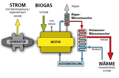 web_motor_560